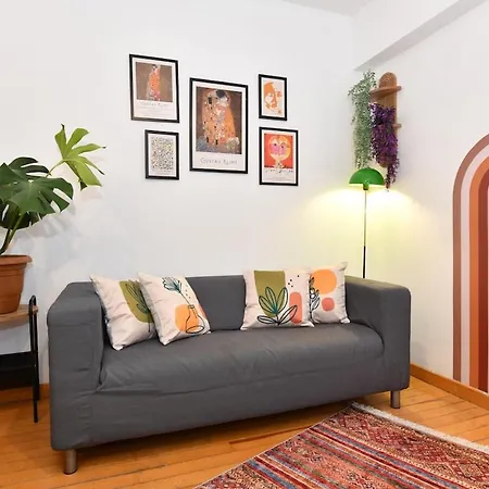 Cute Flat Vintage Design Ac Galata Appartamento Provincia di Istanbul